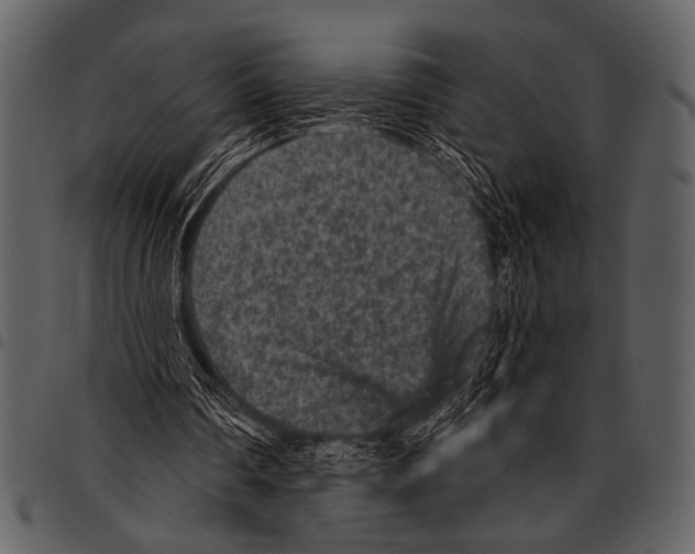 X0000097490290200803201537