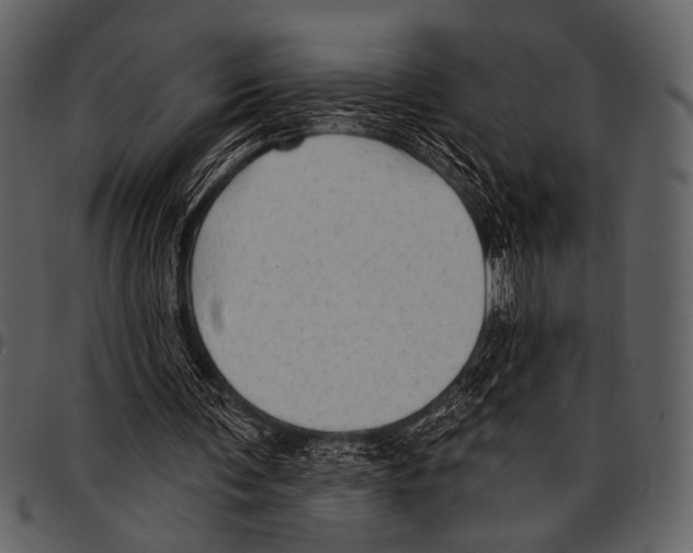 X0000097490291200803201537