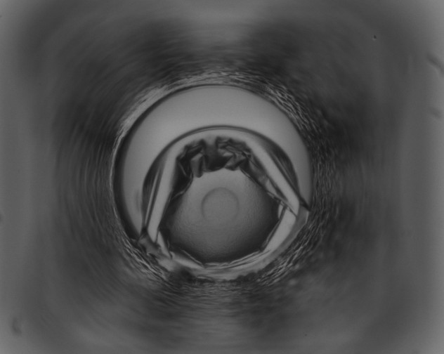 X0000097490292200803201537