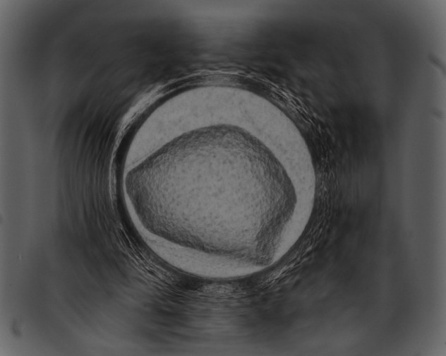 X0000097490294200803201536