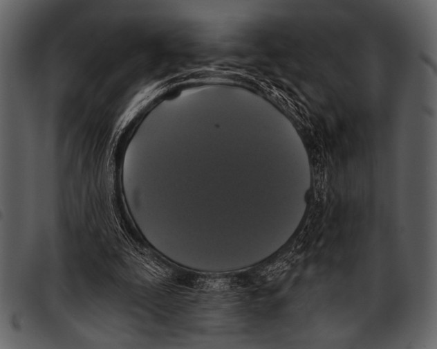 X0000097490295200803201536