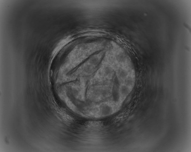 X0000097490296200803201536