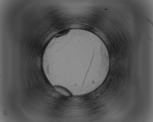 X0000097490297200803201536