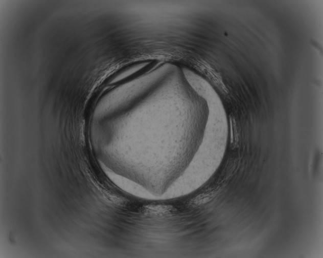 X0000097490300200803201536