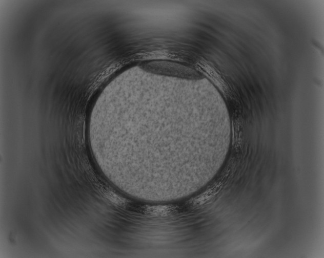 X0000097490301200803201536