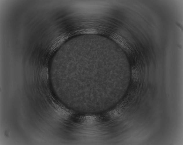 X0000097490302200803201536