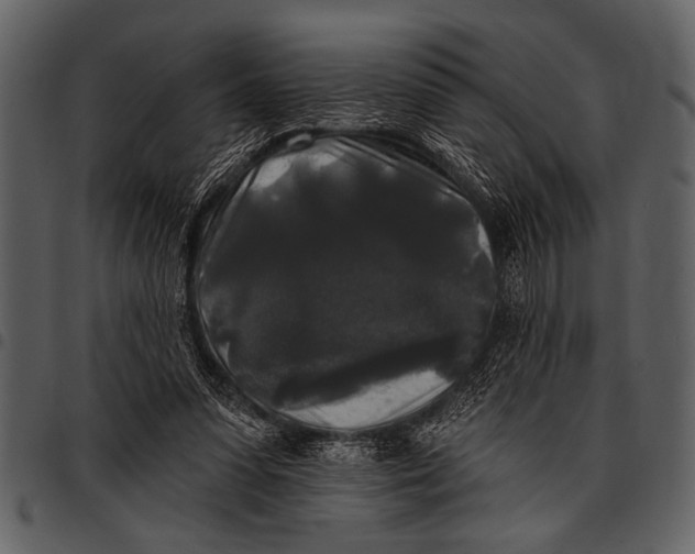 X0000097490303200803201536