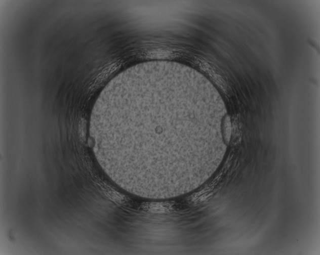 X0000097490305200803201536