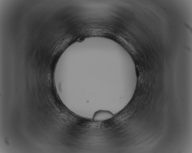 X0000097490306200803201536