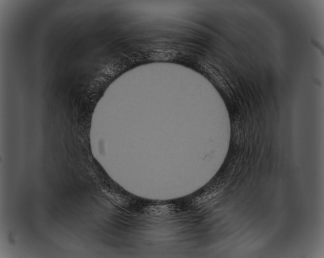 X0000097490307200803201536