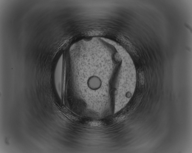 X0000097490308200803201536