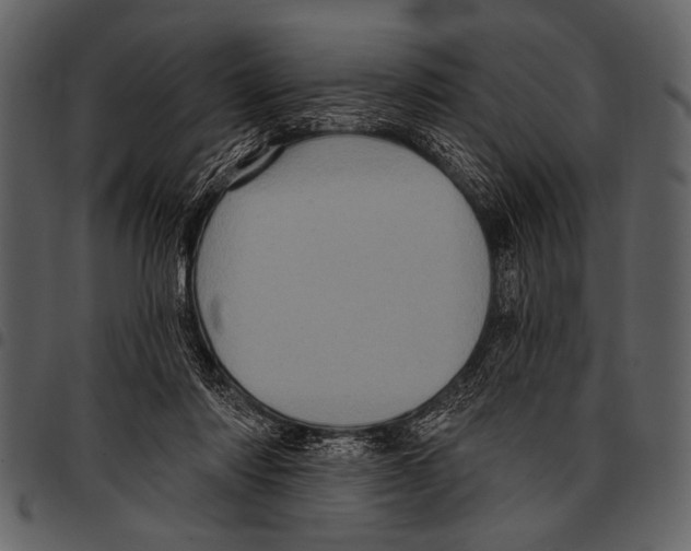 X0000097490310200803201536