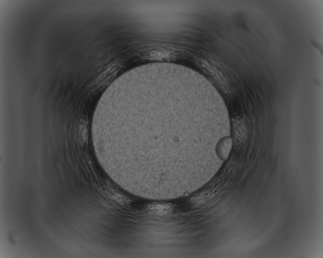 X0000097490313200803201536