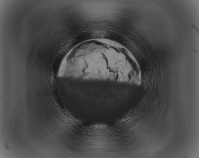 X0000097490314200803201536