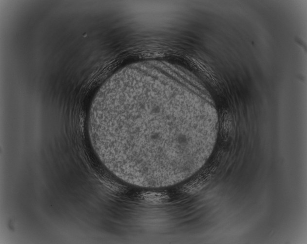 X0000097490315200803201536