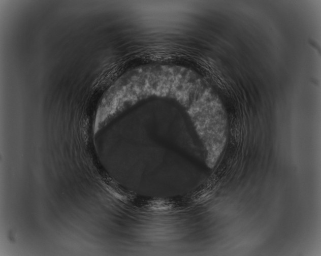 X0000097490319200803201536