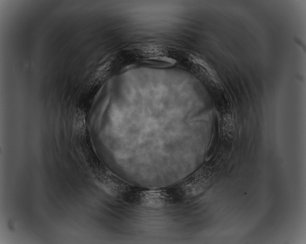 X0000097490320200803201536