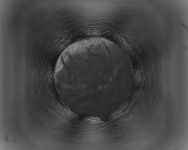 X0000097490322200803201536