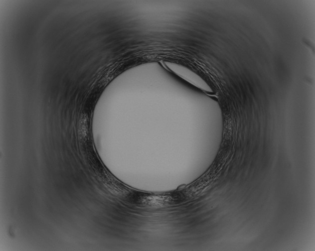 X0000097490323200803201536