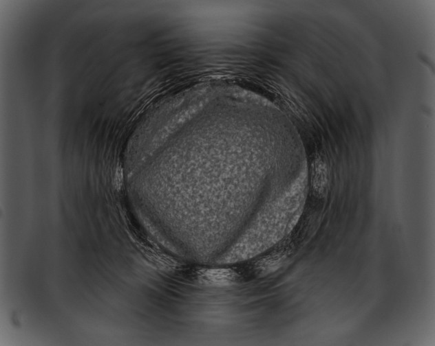 X0000097490324200803201536