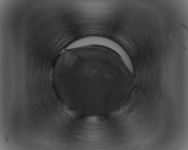 X0000097490325200803201536