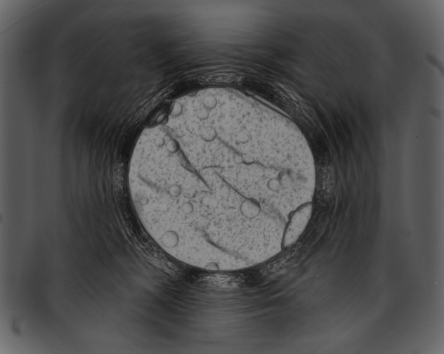 X0000097490326200803201536