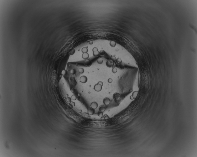 X0000097490328200803201536