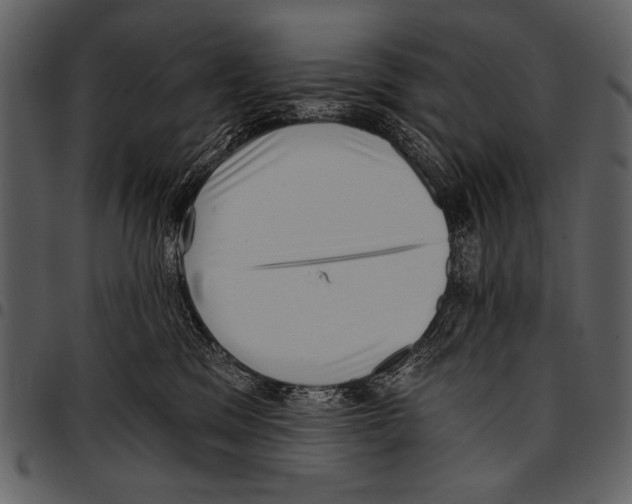 X0000097490329200803201536