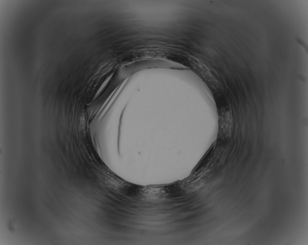 X0000097490333200803201536