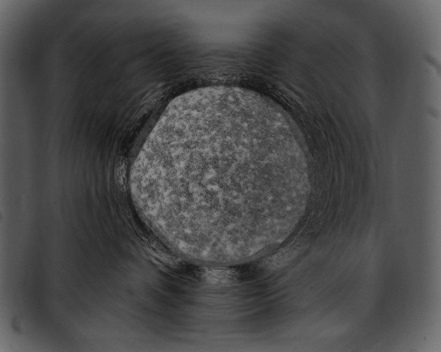 X0000097490336200803201536