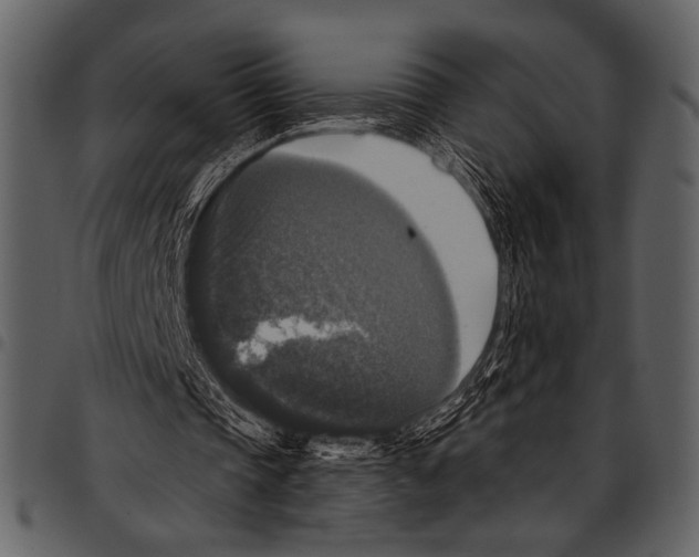 X0000097490337200803201535