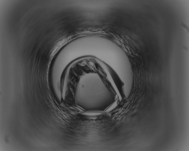 X0000097490340200803201535