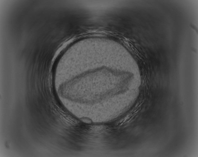 X0000097490342200803201535