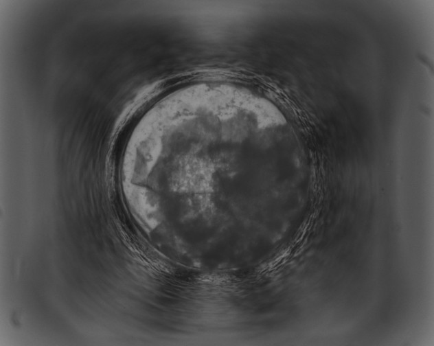 X0000097490343200803201535