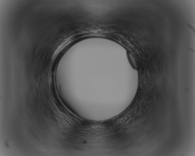 X0000097490344200803201535