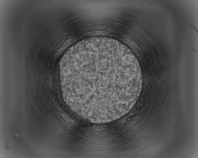 X0000097490345200803201535