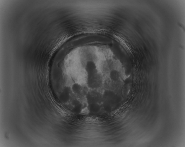 X0000097490346200803201535