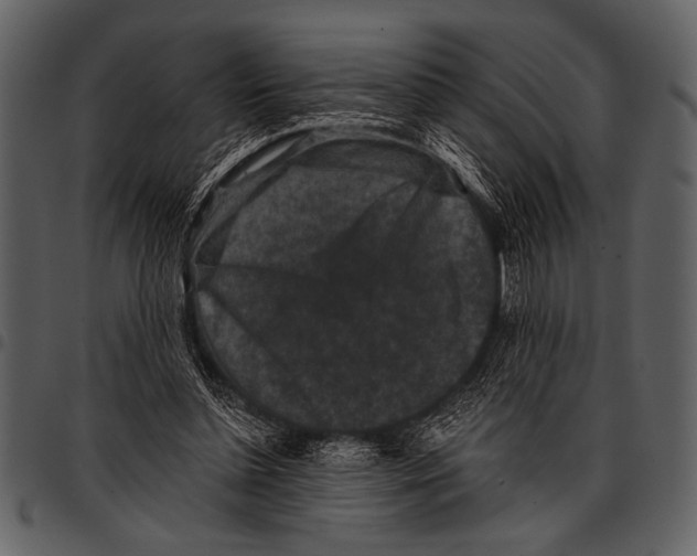 X0000097490348200803201535