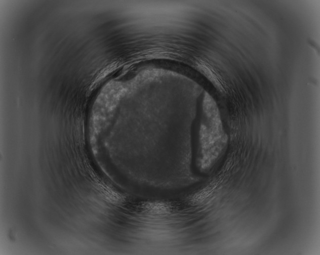 X0000097490349200803201535