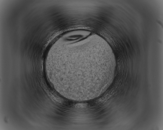 X0000097490350200803201535