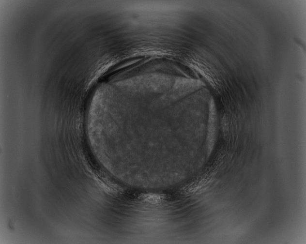 X0000097490352200803201535