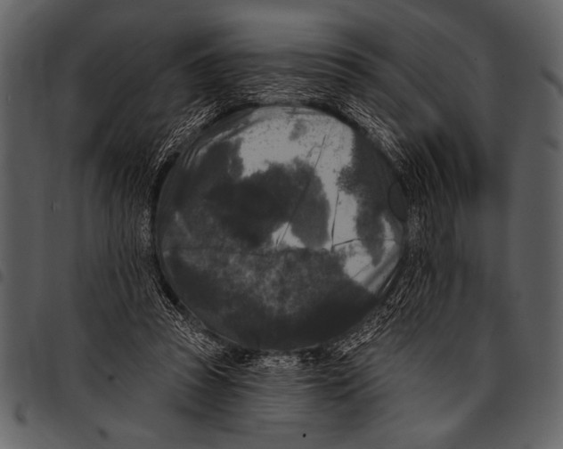 X0000097490353200803201535