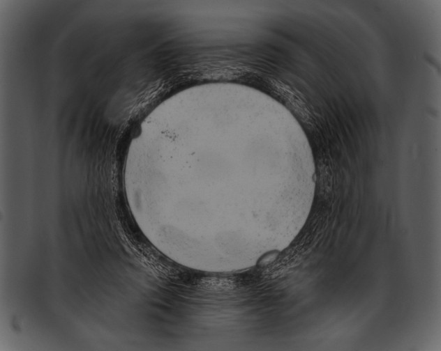 X0000097490354200803201535