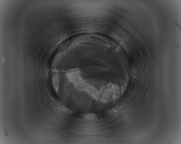 X0000097490355200803201536