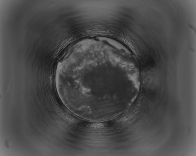 X0000097490357200803201536