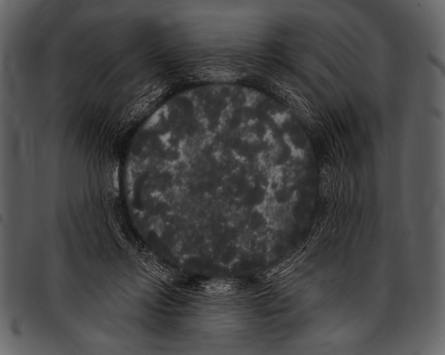 X0000097490358200803201536