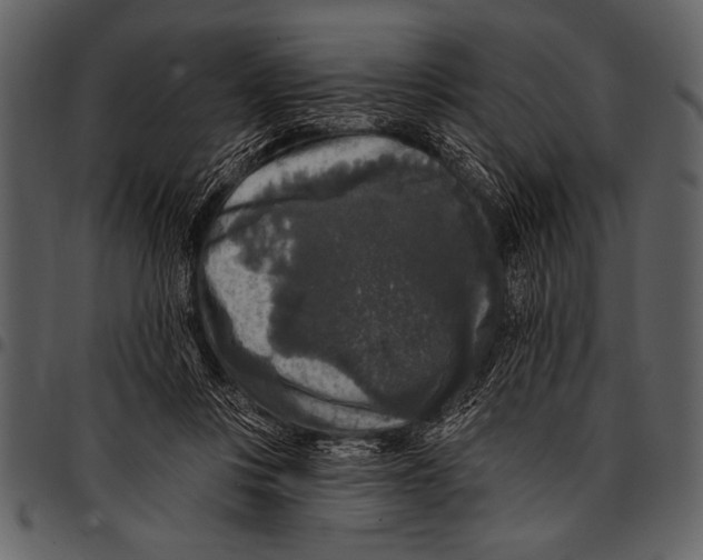 X0000097490359200803201536