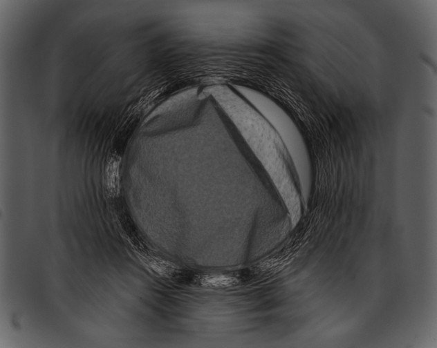 X0000097490360200803201536