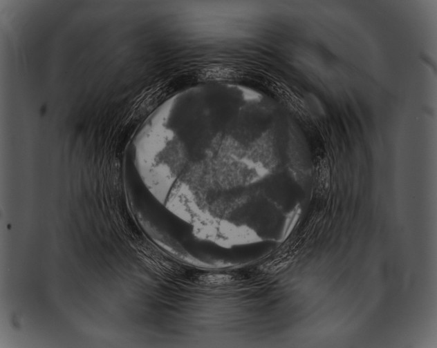 X0000097490361200803201536