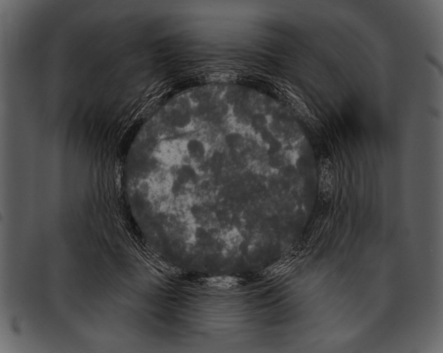 X0000097490363200803201536